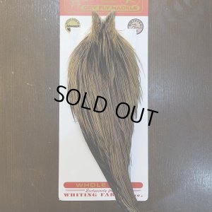 画像1: 【Whiting】ROOSTER CAPE Bronze Grade - GOLDEN BADGER No.1