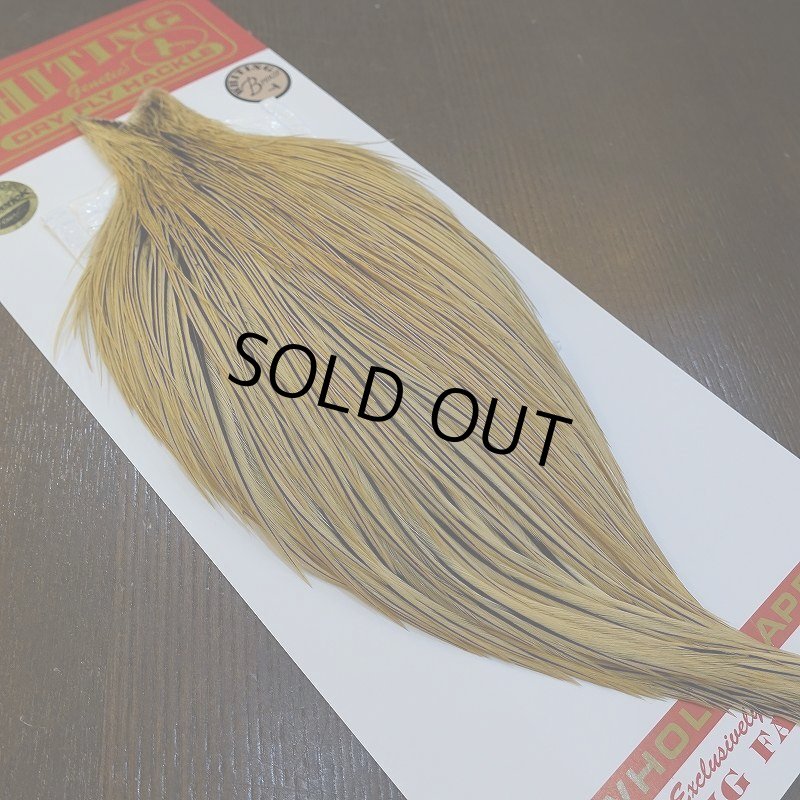 画像5: 【Whiting】ROOSTER CAPE Bronze Grade - GOLDEN BADGER No.2 (5)