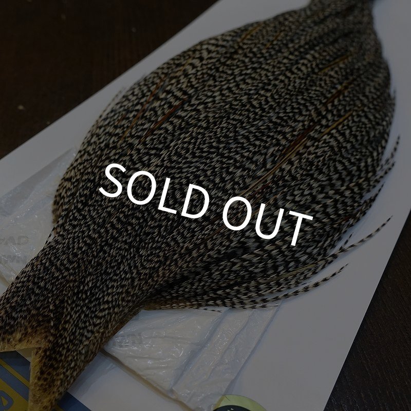 画像2: 【WHITING】High & Dry ROOSTER Cape - Grizzly Variant No.3 (2)