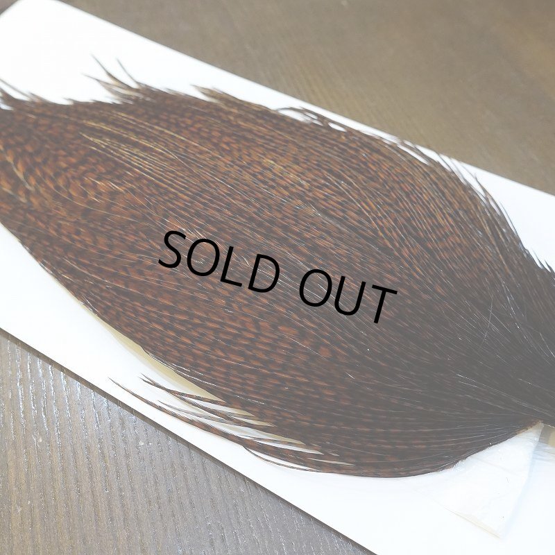 画像3: 【WHITING】High & Dry ROOSTER Cape - Dyed Grizzly Coachman Brown No.4 (3)