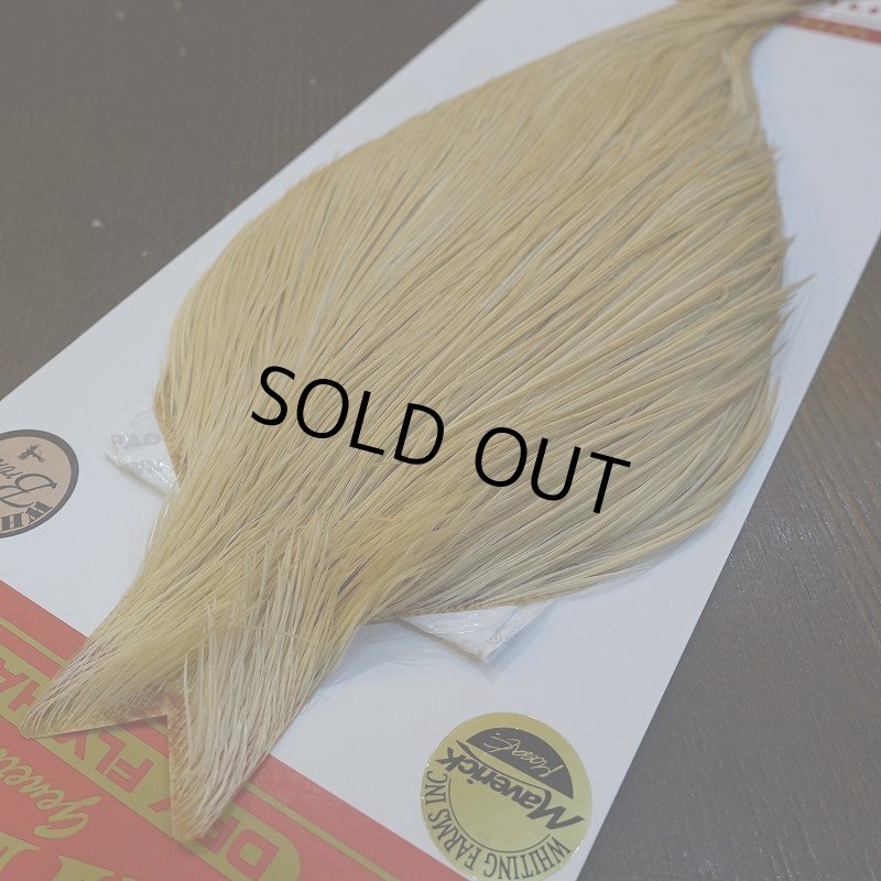 画像2: 【WHITING】ROOSTER Cape Bronze Grade - LightGinger No.3 (2)