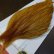 画像2: 【WHITING】ROOSTER Cape Bronze Grade - Medium Ginger No.2 (2)