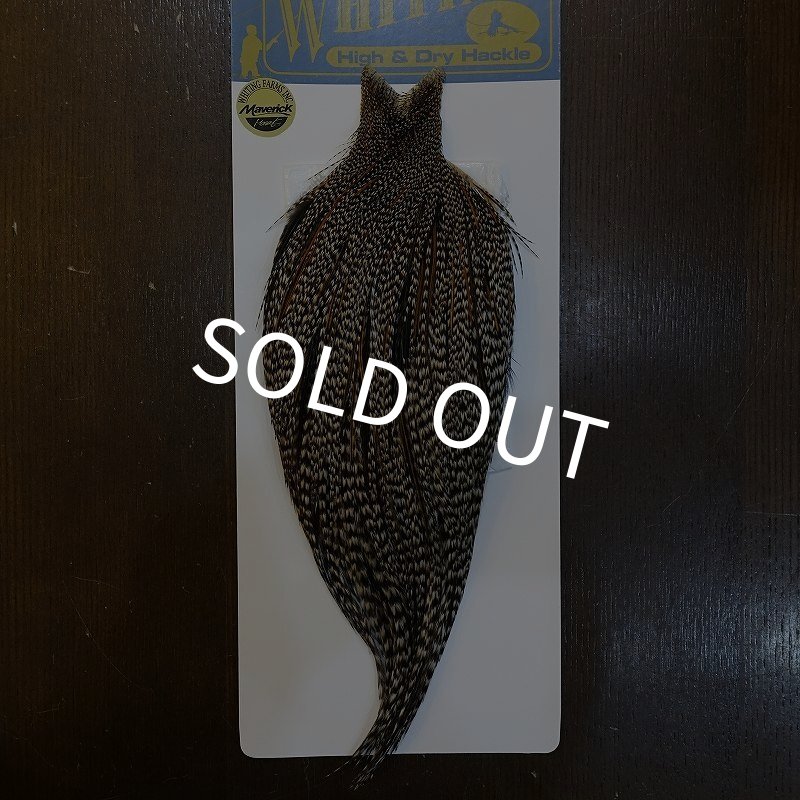 画像1: 【WHITING】High & Dry ROOSTER Cape - Grizzly Variant No.1 (1)