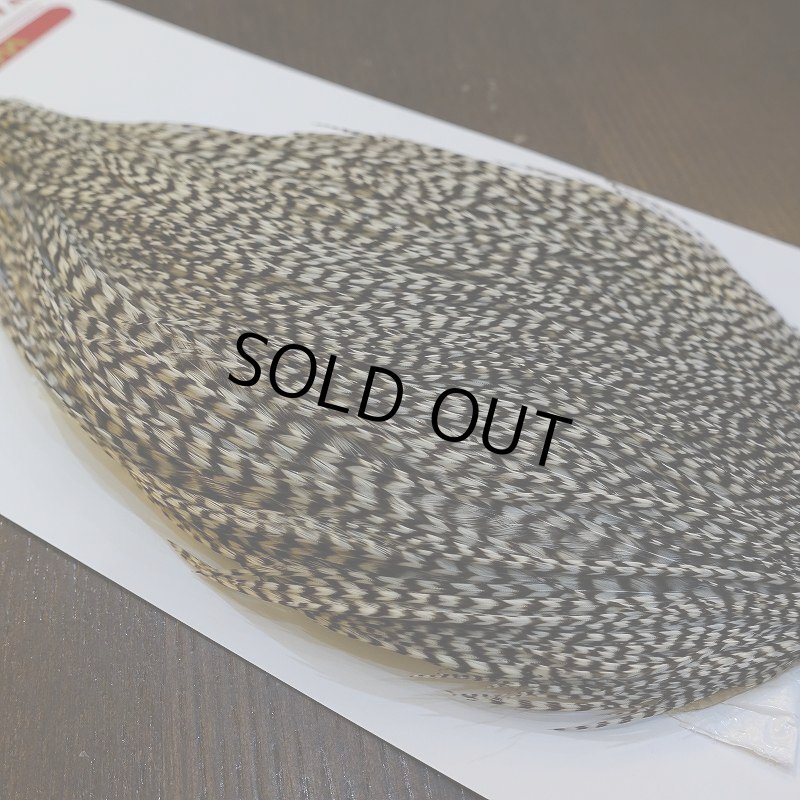 画像3: 【WHITING】ROOSTER CAPE Bronze Grade - Grizzly No.3 (3)