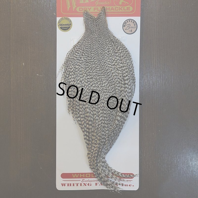 画像1: 【WHITING】ROOSTER CAPE Bronze Grade - Grizzly No.3 (1)