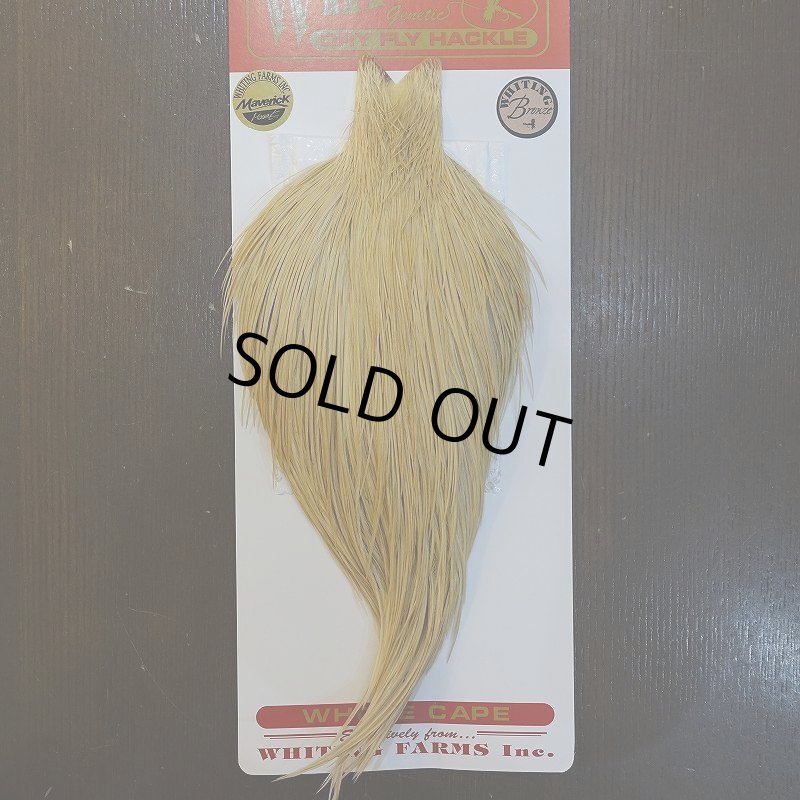 画像1: 【WHITING】ROOSTER Cape Bronze Grade - LightGinger No.2 (1)