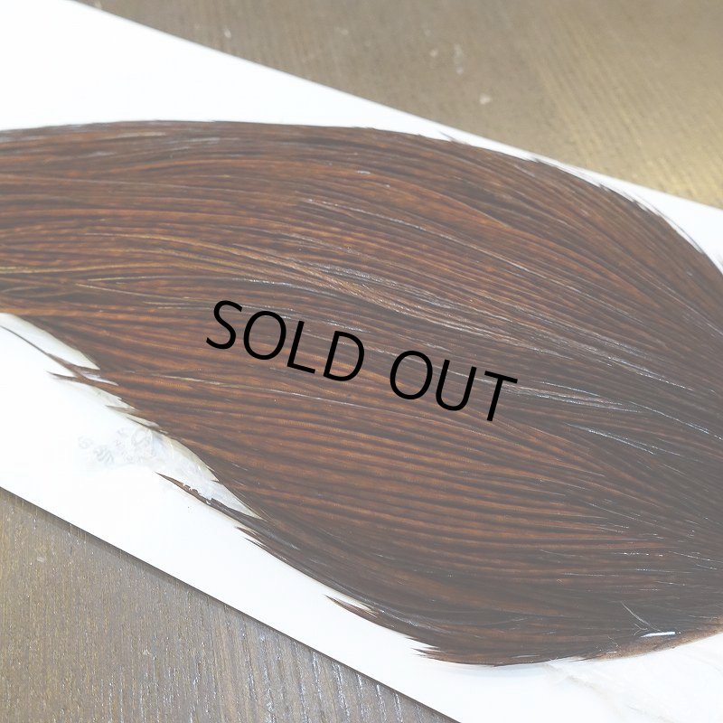 画像3: 【WHITING】High & Dry ROOSTER Cape - Dyed Coachman Brown No.4 (3)