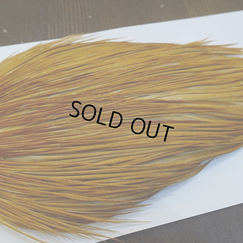 画像4: 【WHITING】ROOSTER Cape Bronze Grade - Medium Ginger No.2 (4)