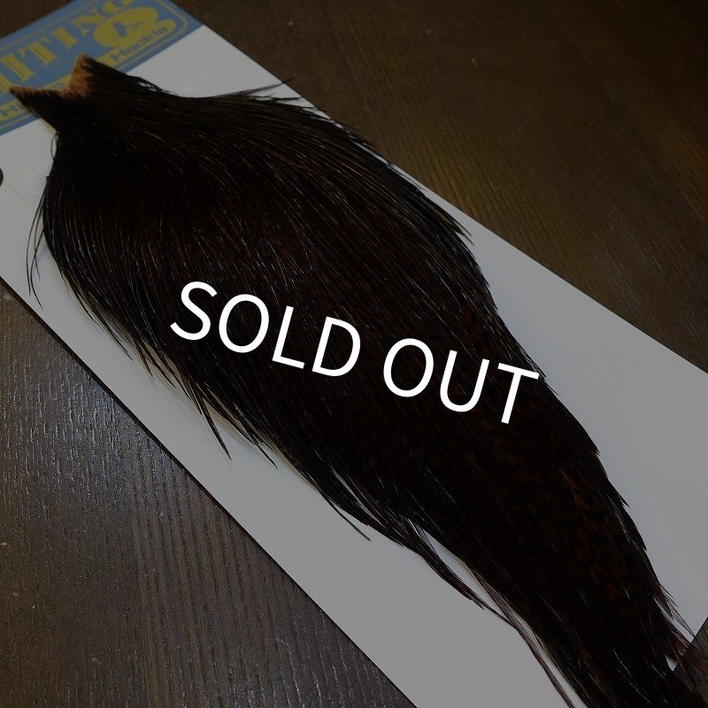 画像5: 【WHITING】High & Dry ROOSTER Cape - Dyed Grizzly Coachman Brown No.3 (5)