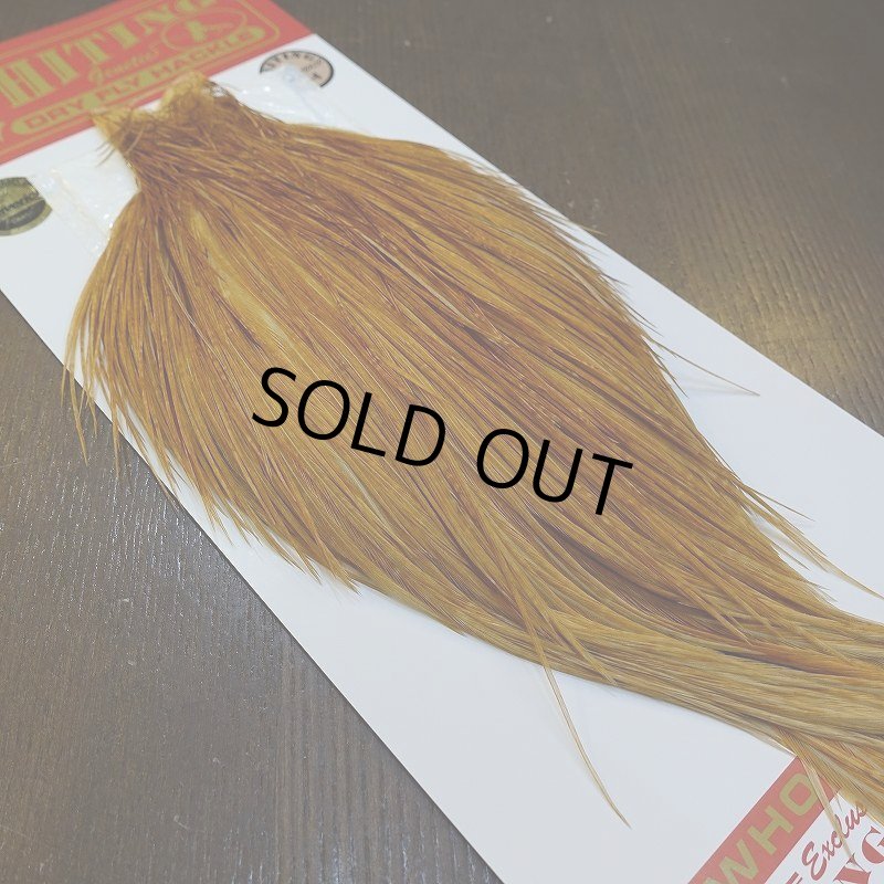 画像5: 【WHITING】ROOSTER Cape Bronze Grade - Medium Ginger No.3 (5)