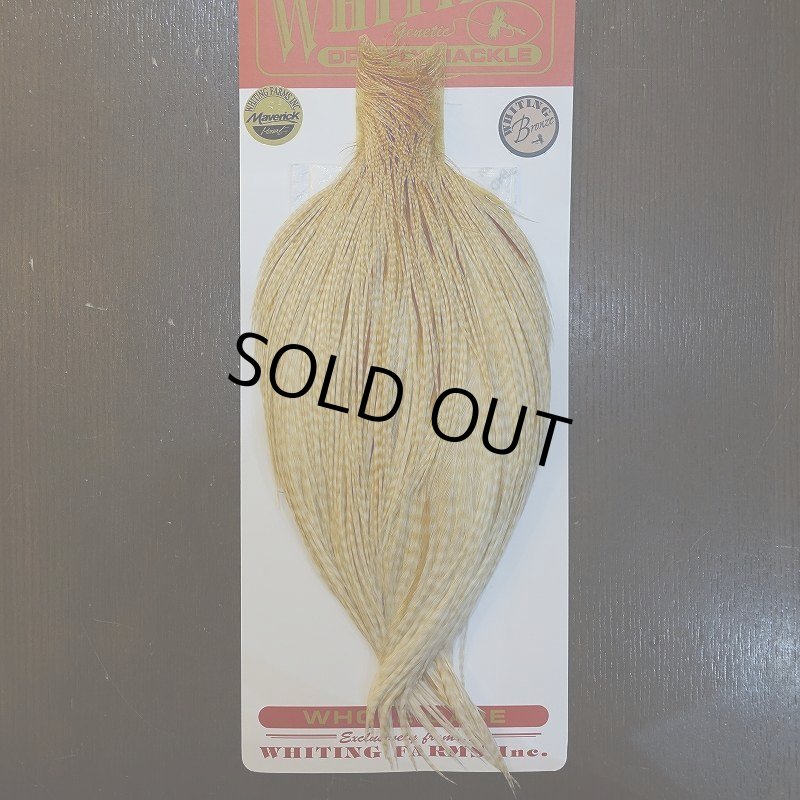 画像1: 【Whiting】ROOSTER CAPE Bronze Grade - BARRED MED GINGER No.2 (1)