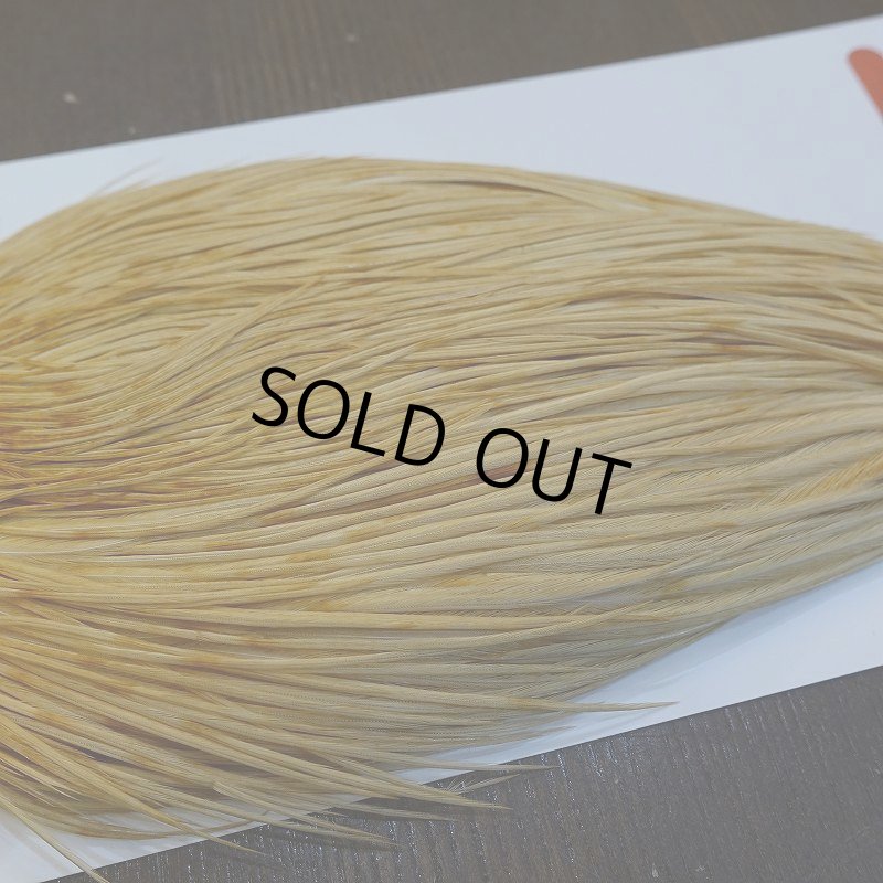 画像4: 【WHITING】ROOSTER Cape Bronze Grade - LightGinger No.1 (4)