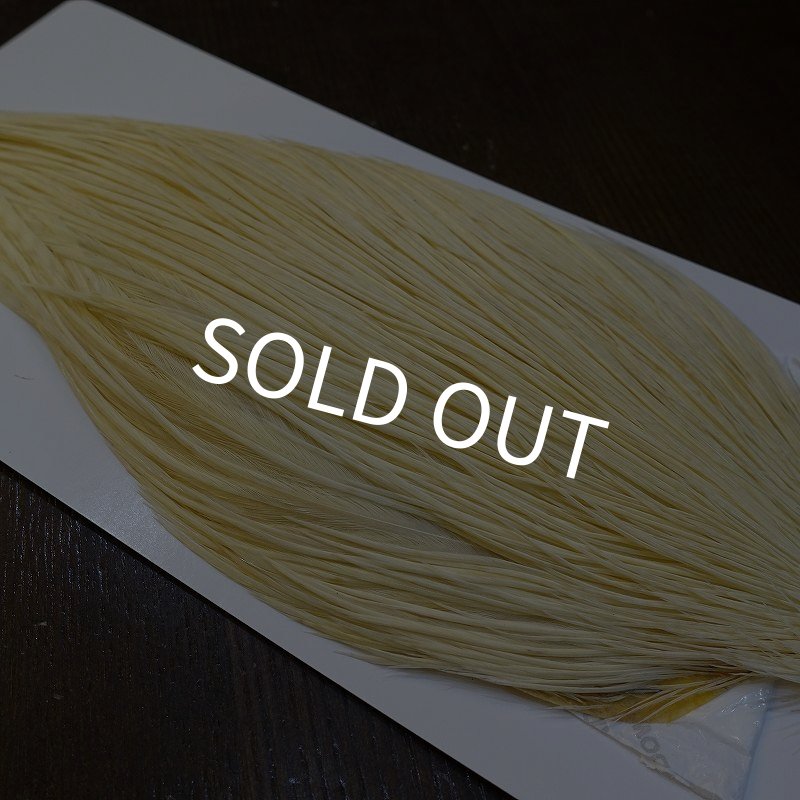 画像3: 【WHITING】High & Dry ROOSTER Cape - WHITE No.1 (3)