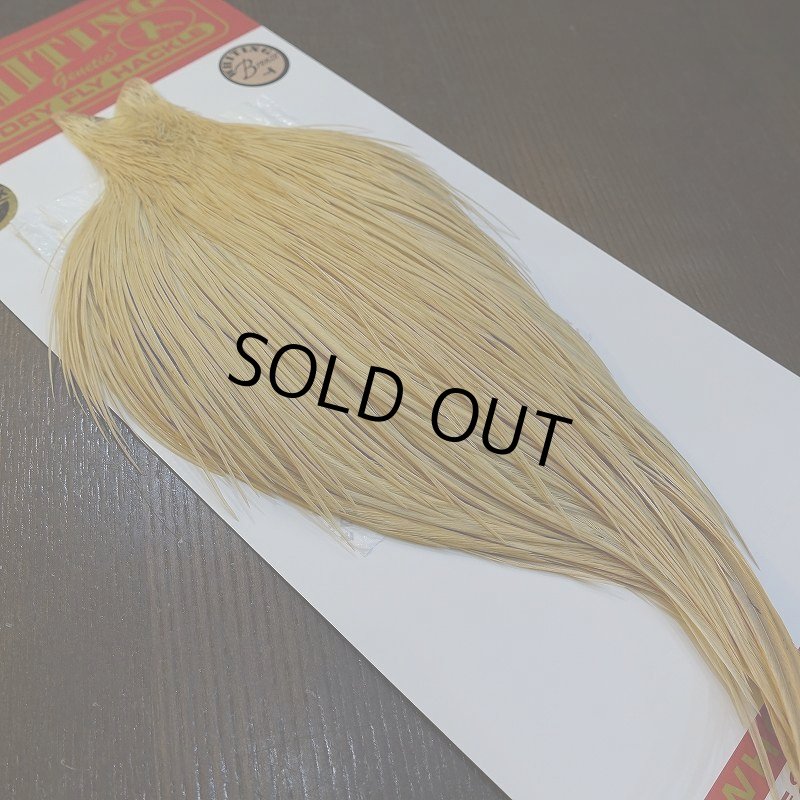 画像5: 【WHITING】ROOSTER Cape Bronze Grade - LightGinger No.2 (5)