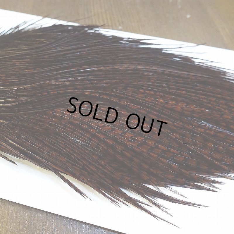 画像4: 【WHITING】High & Dry ROOSTER Cape - Dyed Grizzly Coachman Brown No.2 (4)