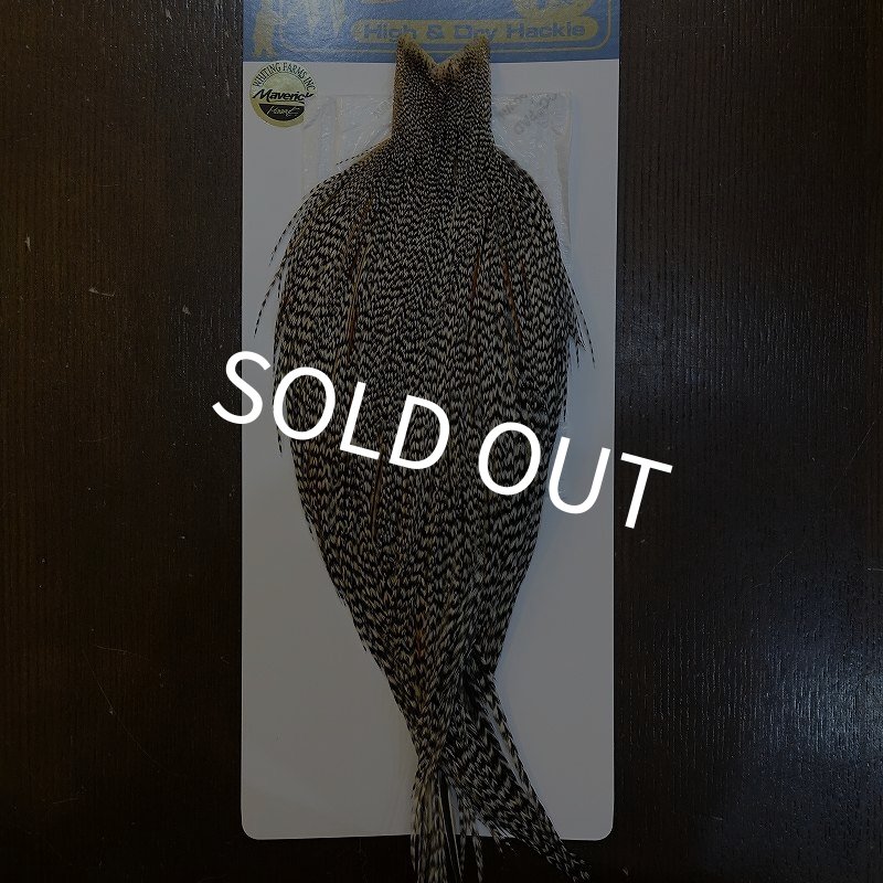 画像1: 【WHITING】High & Dry ROOSTER Cape - Grizzly Variant No.3 (1)