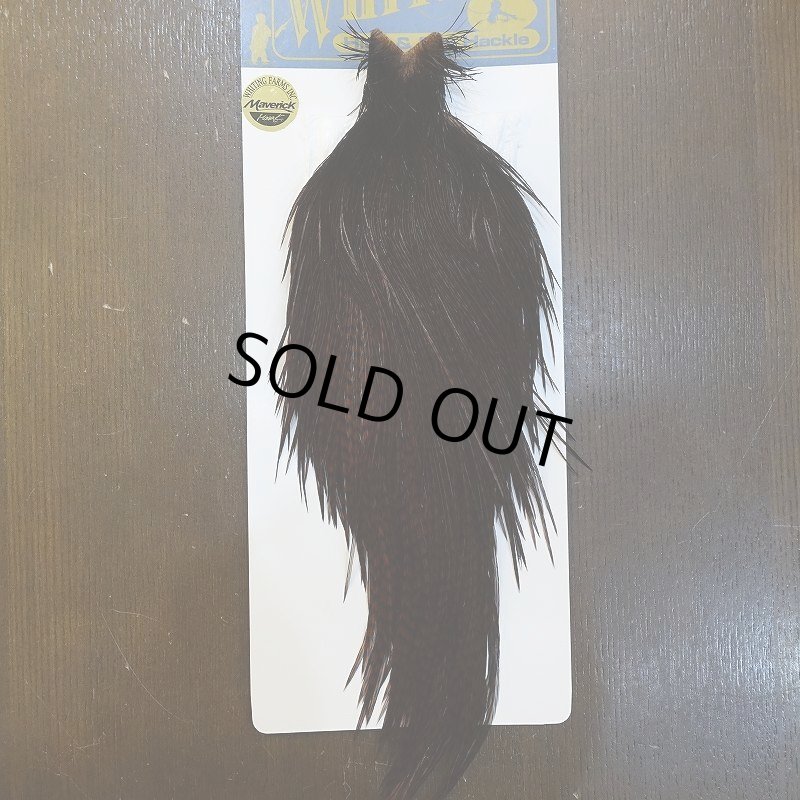 画像1: 【WHITING】High & Dry ROOSTER Cape - Dyed Grizzly Coachman Brown No.2 (1)