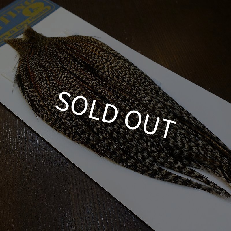 画像5: 【WHITING】High & Dry ROOSTER Cape - Grizzly Variant No.1 (5)