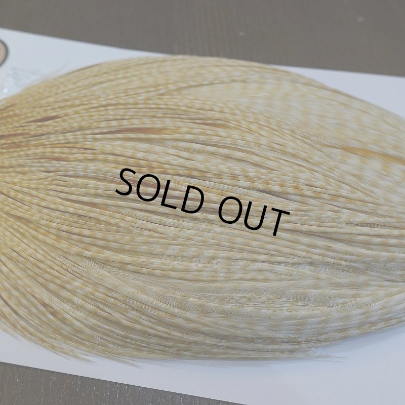 画像4: 【Whiting】ROOSTER CAPE Bronze Grade - BARRED MED GINGER No.2 (4)