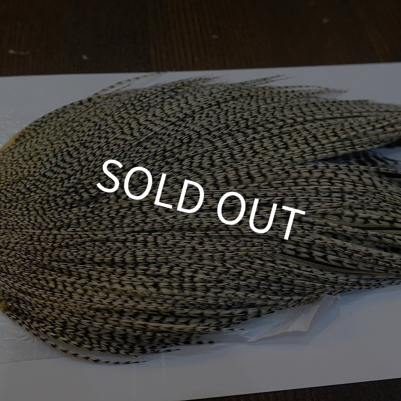 画像4: 【Whiting】ROOSTER CAPE Bronze Grade - Grizzly Variant (4)