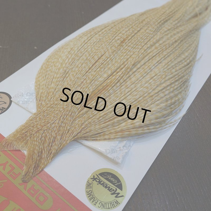 画像2: 【Whiting】ROOSTER CAPE Bronze Grade - BARRED MED GINGER No.1 (2)