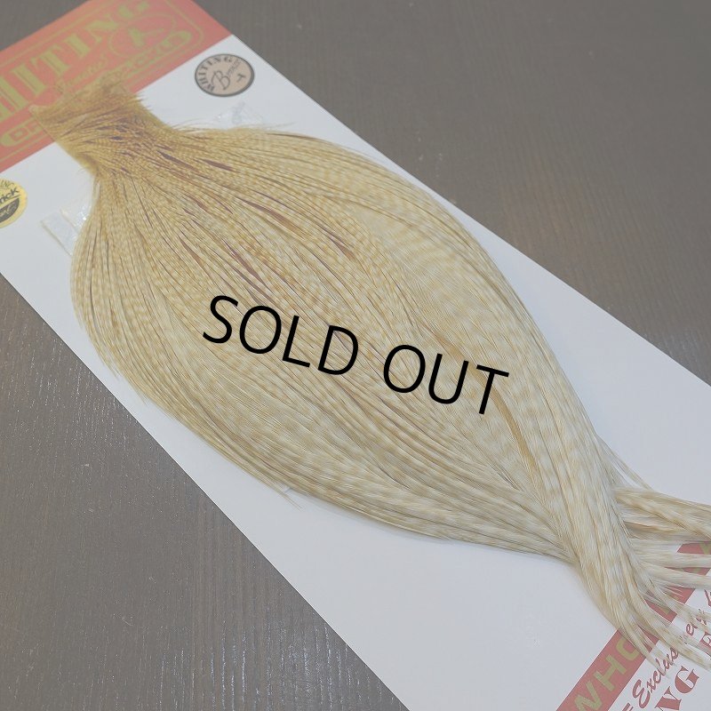 画像5: 【Whiting】ROOSTER CAPE Bronze Grade - BARRED MED GINGER No.2 (5)