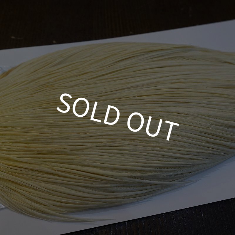 画像4: 【WHITING】High & Dry ROOSTER Cape - WHITE No.1 (4)