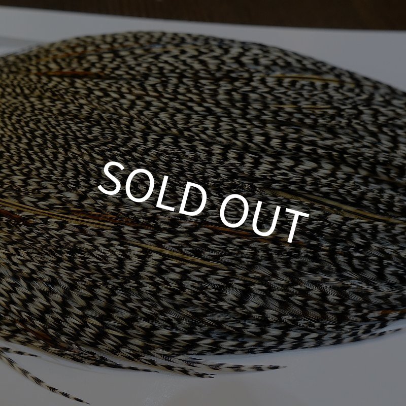 画像4: 【WHITING】High & Dry ROOSTER Cape - Grizzly Variant No.3 (4)