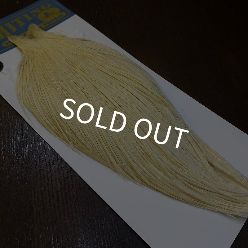 画像5: 【WHITING】High & Dry ROOSTER Cape - WHITE No.1 (5)