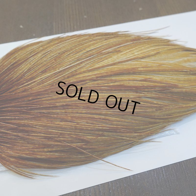 画像4: 【WHITING】ROOSTER Cape Bronze Grade - Medium Ginger No.1 (4)