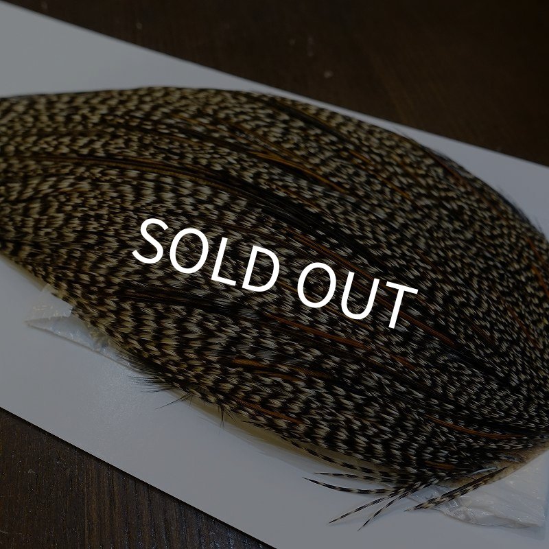 画像3: 【WHITING】High & Dry ROOSTER Cape - Grizzly Variant No.1 (3)