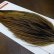 画像3: 【Whiting】ROOSTER CAPE Bronze Grade - GOLDEN BADGER No.1 (3)