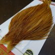 画像2: 【WHITING】ROOSTER Cape Bronze Grade - Medium Ginger No.3 (2)