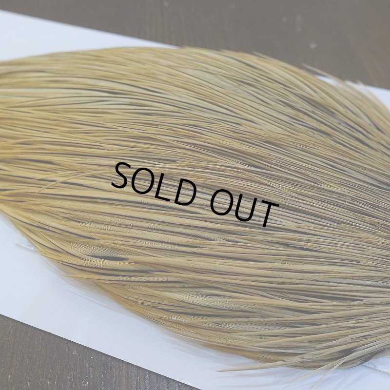 画像4: 【Whiting】ROOSTER CAPE Bronze Grade - GOLDEN BADGER No.2 (4)