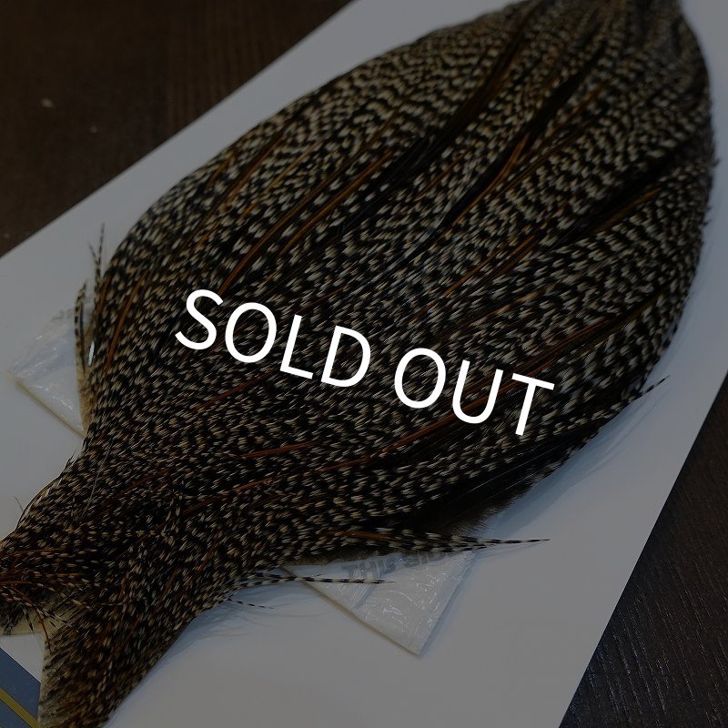 画像2: 【WHITING】High & Dry ROOSTER Cape - Grizzly Variant No.1 (2)