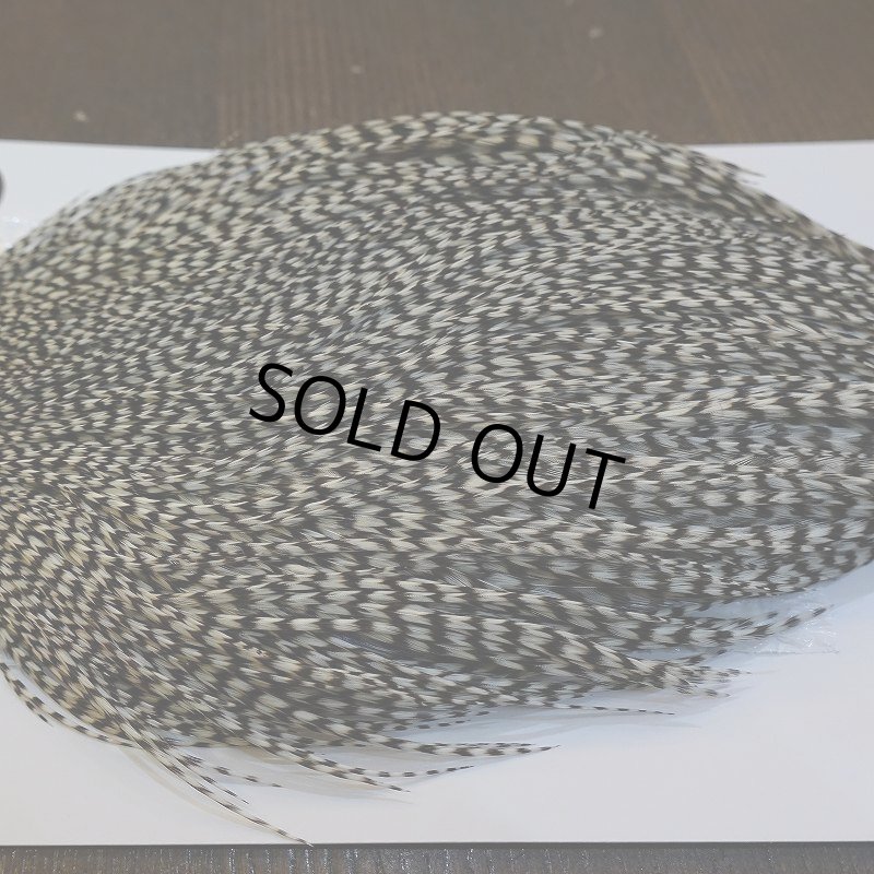 画像4: 【WHITING】ROOSTER CAPE Bronze Grade - Grizzly No.3 (4)