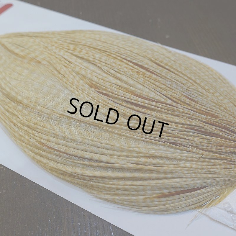 画像3: 【Whiting】ROOSTER CAPE Bronze Grade - BARRED MED GINGER No.2 (3)