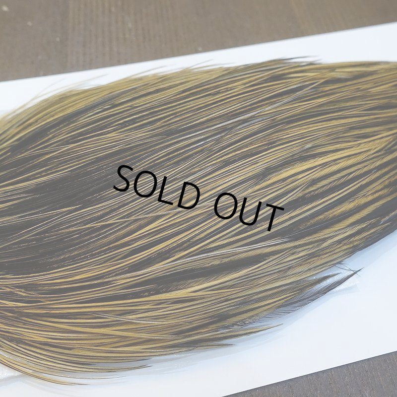 画像4: 【Whiting】ROOSTER CAPE Bronze Grade - GOLDEN BADGER No.1 (4)