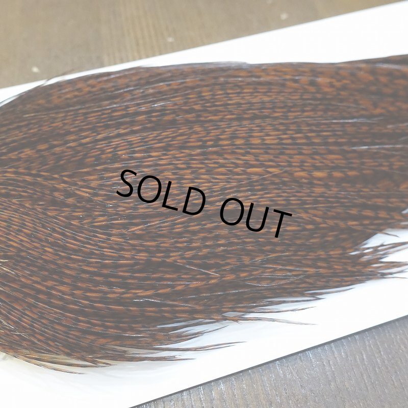 画像4: 【WHITING】High & Dry ROOSTER Cape - Dyed Grizzly Coachman Brown No.4 (4)