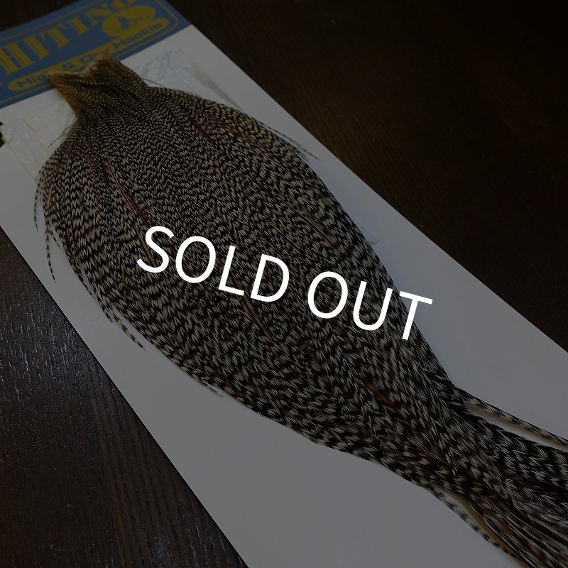 画像5: 【WHITING】High & Dry ROOSTER Cape - Grizzly Variant No.3 (5)