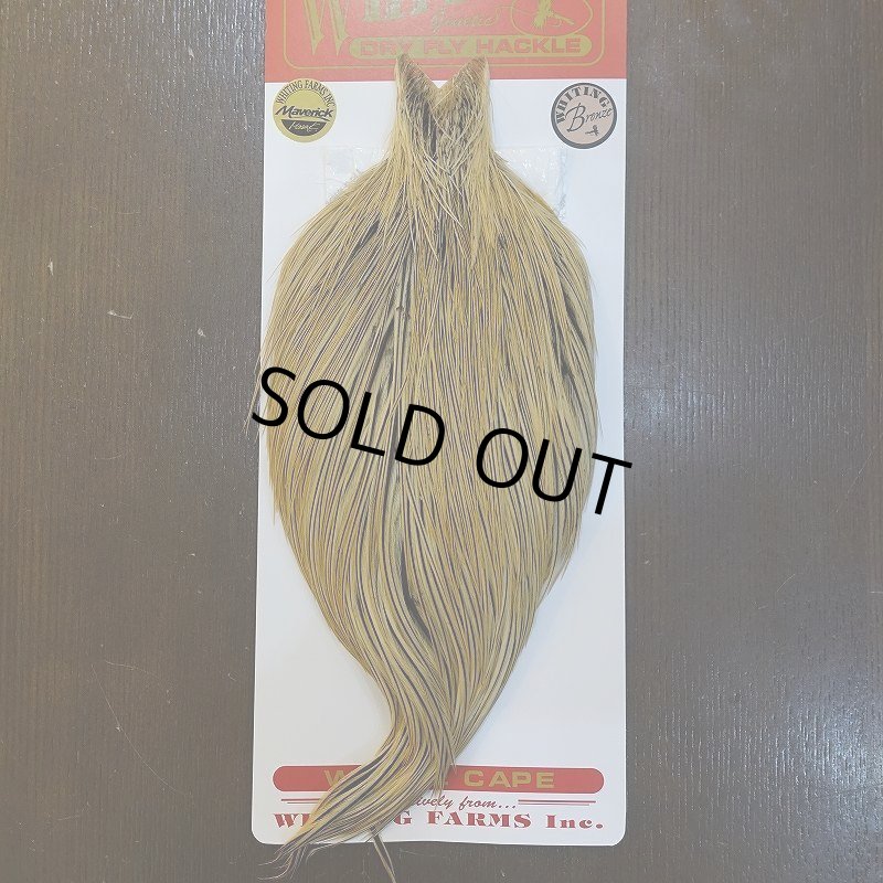 画像1: 【Whiting】ROOSTER CAPE Bronze Grade - GOLDEN BADGER No.2 (1)