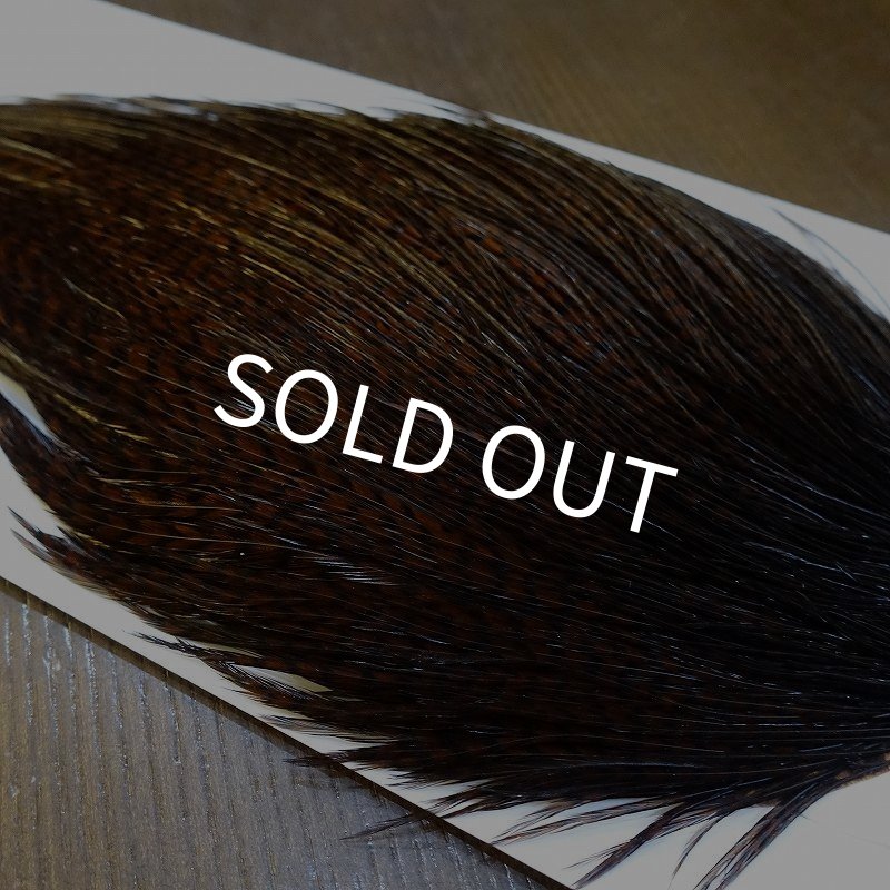 画像3: 【WHITING】High & Dry ROOSTER Cape - Dyed Grizzly Coachman Brown No.3 (3)