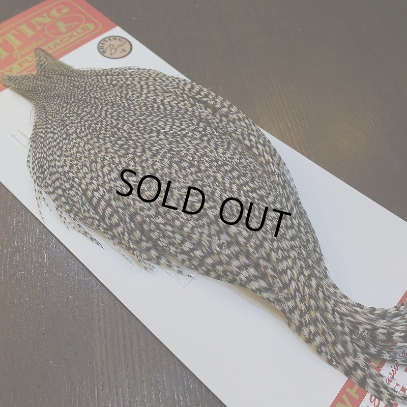 画像5: 【WHITING】ROOSTER CAPE Bronze Grade - Grizzly No.3 (5)