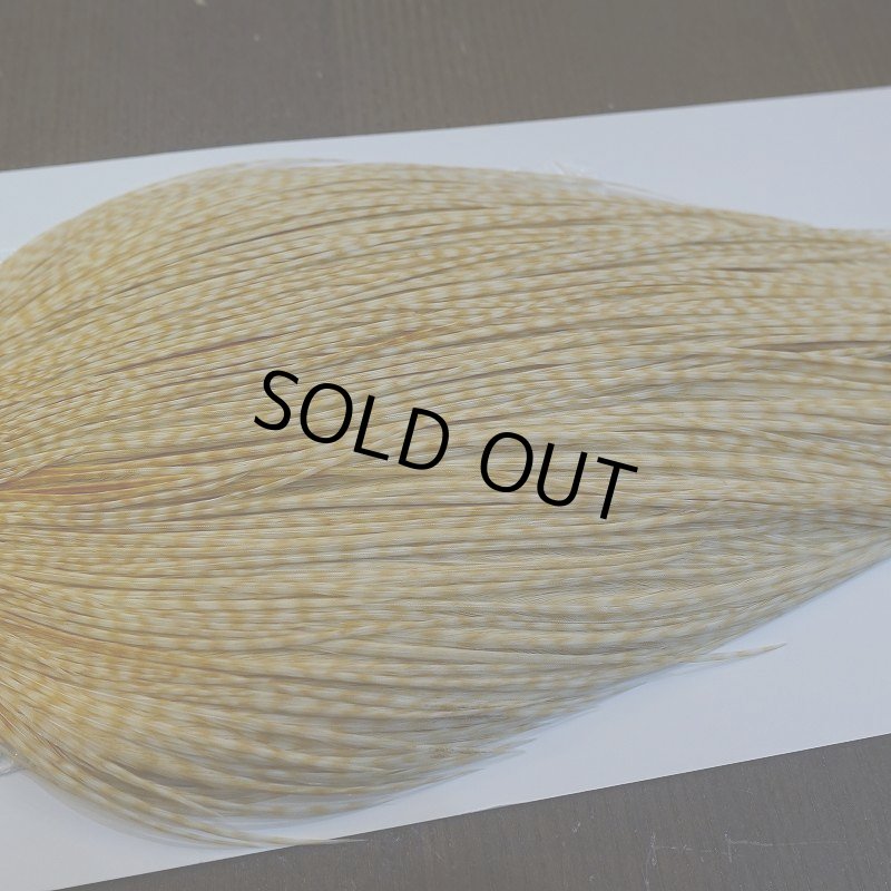 画像4: 【Whiting】ROOSTER CAPE Bronze Grade - BARRED MED GINGER No.1 (4)