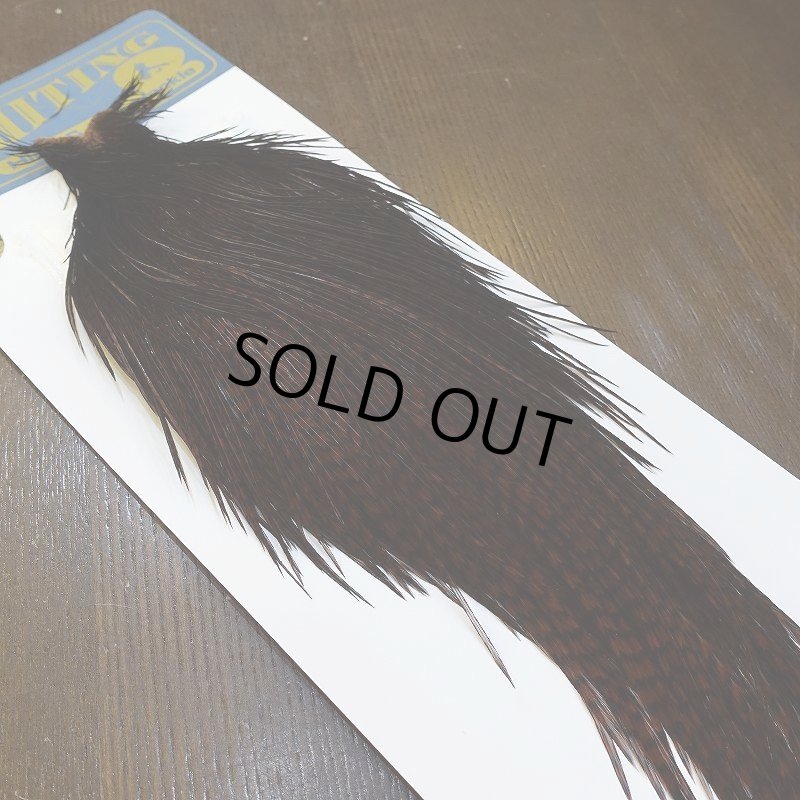 画像5: 【WHITING】High & Dry ROOSTER Cape - Dyed Grizzly Coachman Brown No.2 (5)