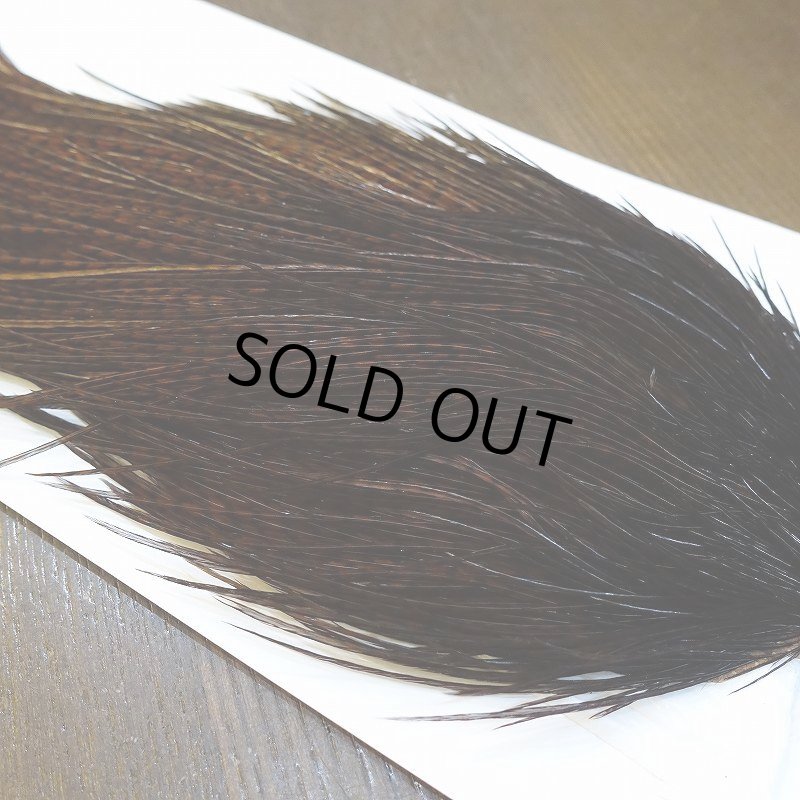 画像3: 【WHITING】High & Dry ROOSTER Cape - Dyed Grizzly Coachman Brown No.2 (3)