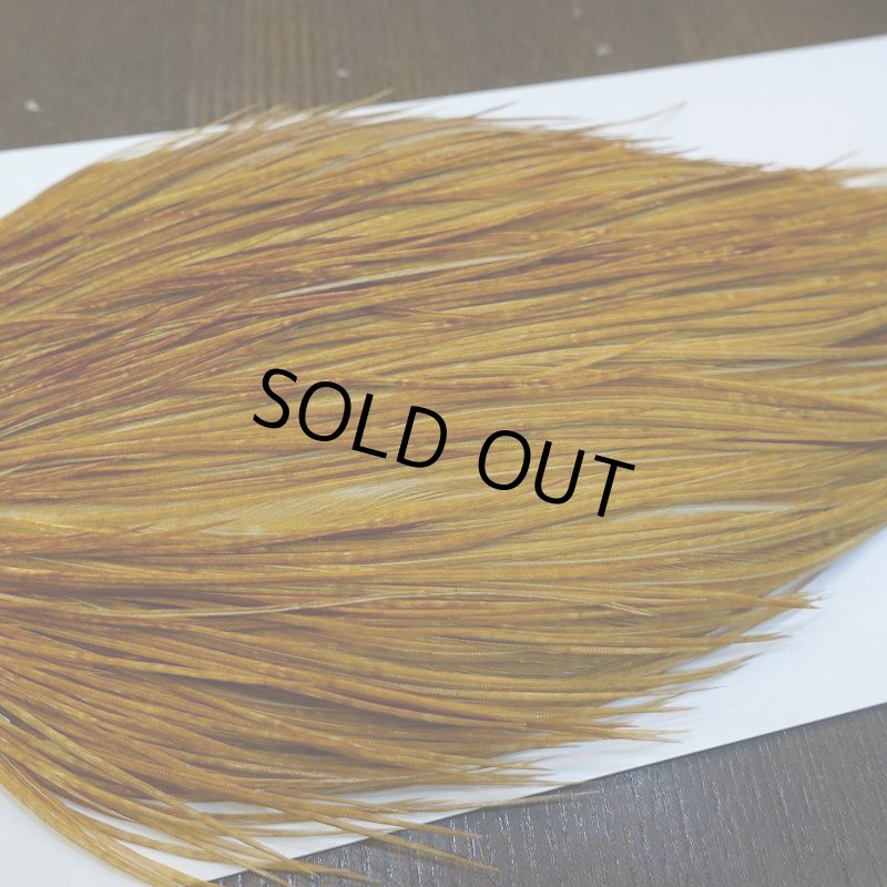 画像4: 【WHITING】ROOSTER Cape Bronze Grade - Medium Ginger No.3 (4)