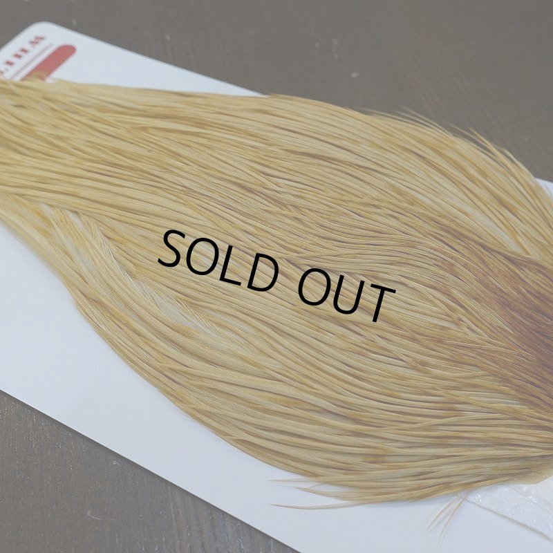 画像3: 【WHITING】ROOSTER Cape Bronze Grade - LightGinger No.1 (3)