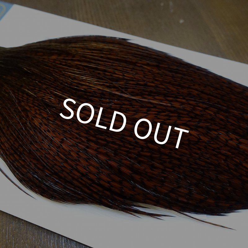 画像4: 【WHITING】High & Dry ROOSTER Cape - Dyed Grizzly Coachman Brown No.1 (4)