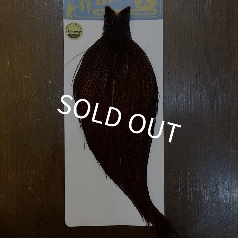 画像1: 【WHITING】High & Dry ROOSTER Cape - Dyed Grizzly Coachman Brown No.1 (1)